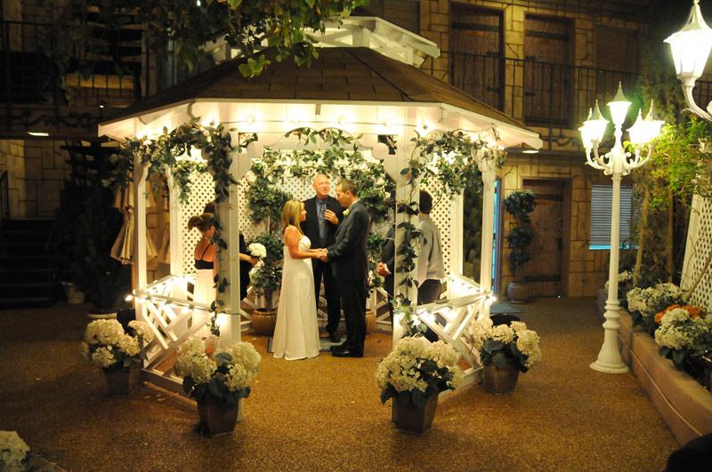 Photo gallery cat gazebo8