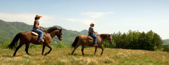 photos-activities-horseback-riding.jpg