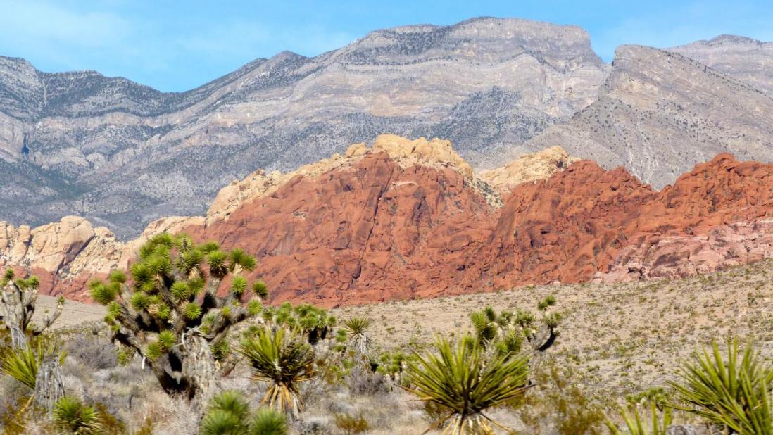 RED ROCK CANYON